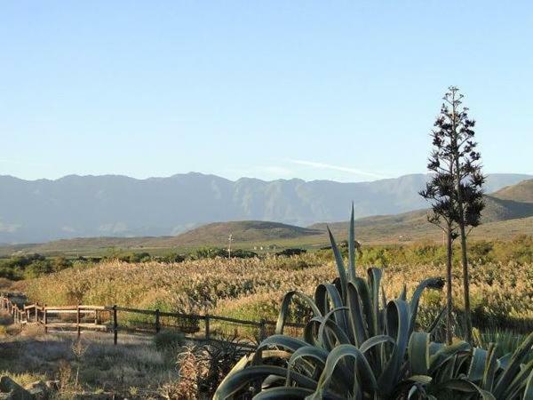 Apartmán Tanagra Wine & Guestfarm McGregor Exteriér fotografie